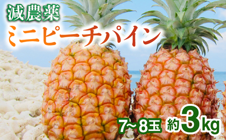2026年 先行予約 栽培期間中 減農薬 ミニピーチパイン 3kg (7～8玉) 
