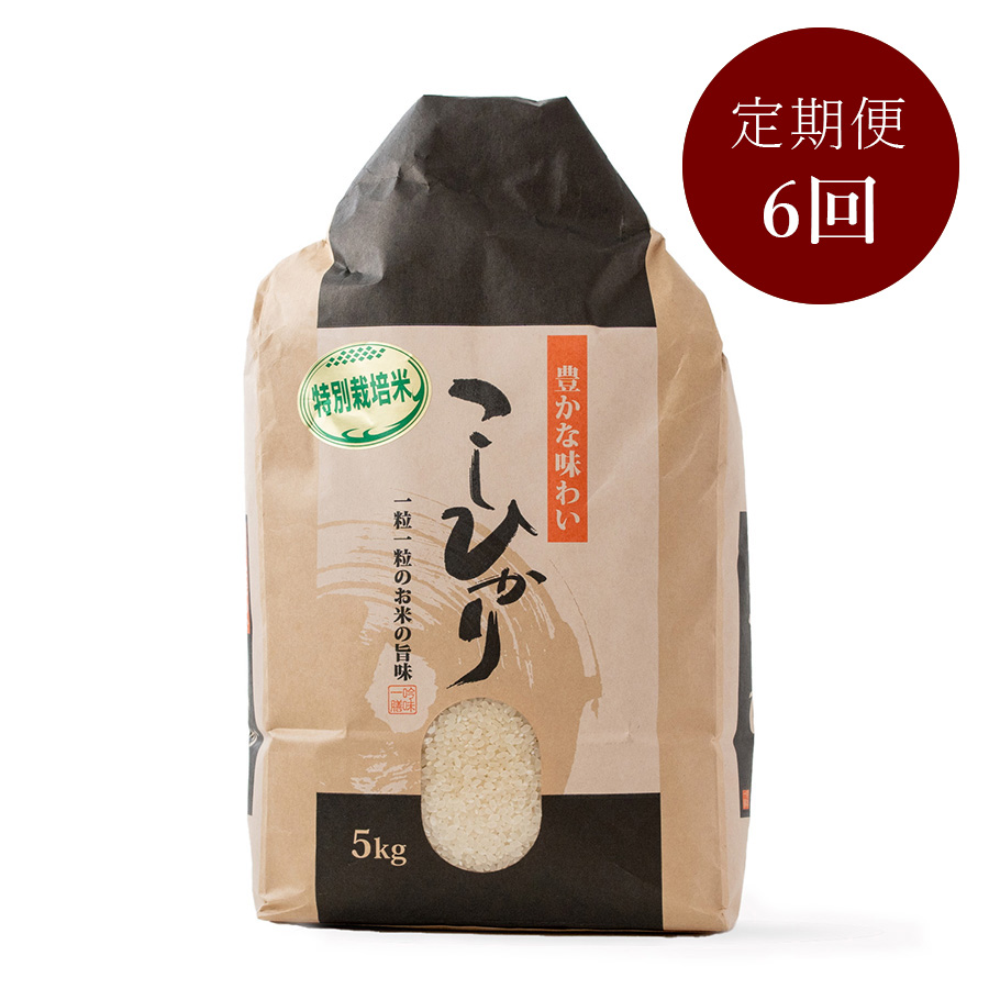 特別栽培米こしひかり5kg　定期便6回
