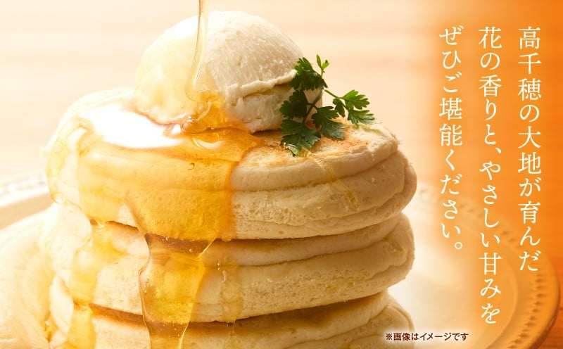 日本みつばち 高千穂の純粋蜂蜜 245g×1本|蜂蜜 はちみつ 日本みつばち 純粋蜂蜜 国産蜂蜜 天然蜂蜜 垂れ蜜 蜜蜂 希少 蜂蜜 濃厚 花 伝統製法 特産品 ふるさと納税 返礼品 宮崎県 高千穂町