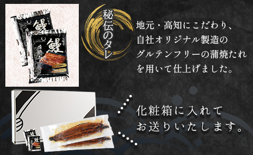 【６回定期便】養殖うなぎ蒲焼き 約165g×１尾(台湾産鰻) Wfb-0095