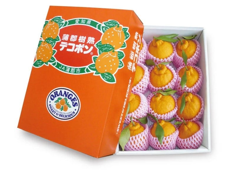 
            【G0004】【期間限定】蒲郡樹熟デコポン 約３ｋｇ
          