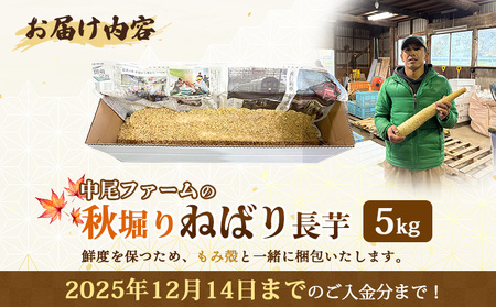 【秋堀り】中尾ファームのねばり 長芋 5kg【34001】