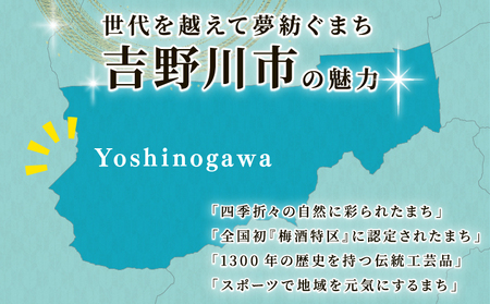 ドーナッツ 菓子 スイーツ 6個 デザート 焼きドーナツ ドーナツ 