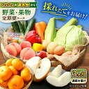 【ふるさと納税】【3回定期便】シュシュの直売所から野菜・果物定期便コース / 野菜 やさい 果物 くだもの フルーツ ふるーつ 産地直送 フルーツ定期便 / 大村市 / おおむら夢ファームシュシュ[ACAA164]