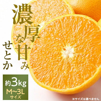 【ふるさと納税】愛媛の高級柑橘の代名詞!「せとか」約3kg入(化粧箱入)【D28-8】_ みかん 蜜柑 ミカン かんきつ 国産 高級 フルーツ 果物 くだもの 送料無料 箱 愛媛みかん せとかみかん 【配送不可地域：離島】【1046131】