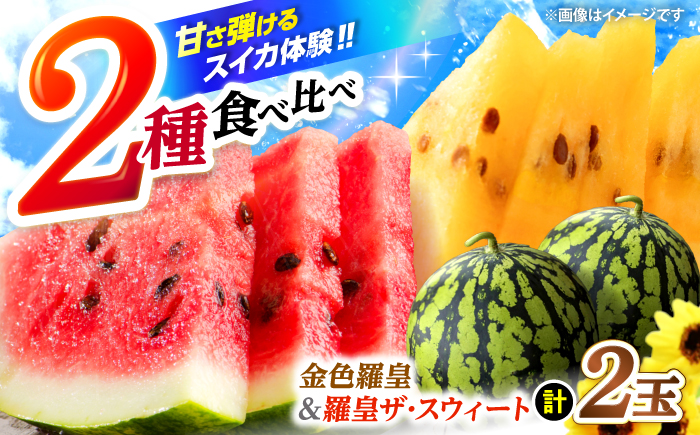 【食べ比べ】 金色羅皇＆羅皇ザ・スウィート（計2玉） ＜ファームまるだ＞ [CDT008]