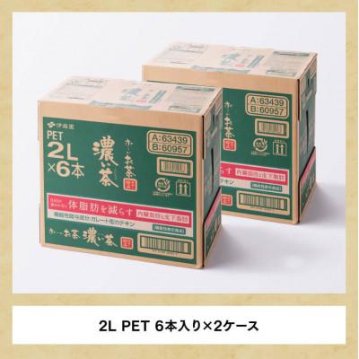 ふるさと納税 川南町 【毎月定期便】お〜いお茶 濃い茶 2L×6本×2ケース(川南町)全3回 |  | 03