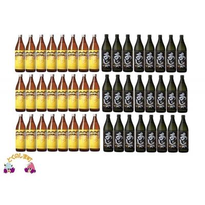 ふるさと納税 徳之島町 奄美黒糖焼酎「島のナポレオン」と「あじゃ黒」セット(48本)
