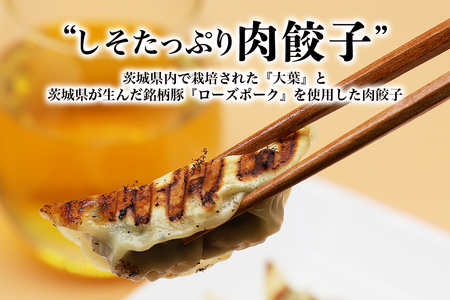 【数量限定】 しそたっぷり肉餃子・俺達のれんこんまん 各1袋 しそたっぷり肉餃子30個 俺達のれんこんまん4個 ぎょうざ ギョウザ 餃子 肉まん 豚まん 中華まん しそ シソ れんこん レンコン 蓮根