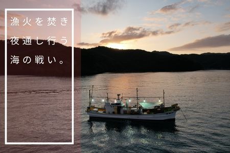 白いか丸ごと 250g×3杯セット イカ