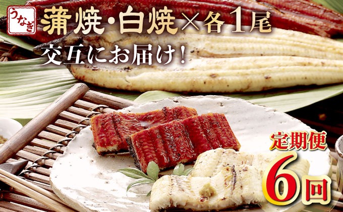 蒲焼き・白焼きを交互にお届け！国産うなぎ１尾【全６回定期便】 _ うなぎ 鰻 ウナギ 1尾 国産 高知県産 蒲焼き 白焼き かばやき 冷凍 うな重 ひつまぶし タレ ランキング 人気 6回 定期便 [yj056]