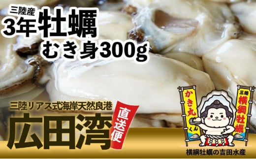 【先行予約】 横綱牡蠣！吉田水産のむき身牡蠣 Mサイズ 300g 加熱用 おためし 【 むき身 牡蠣 かき 大粒 小分け 加熱用 冷蔵 三陸 リアス海岸 広田湾 3年牡蠣 】RT2648