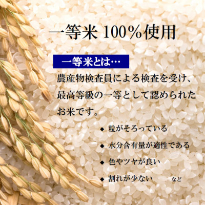 【令和6年産・新米】栃木県産とちぎの星(精米)5kg×1袋 | お米 白米 一等米 送料無料 栃木県 宇都宮市 ※離島への配送不可