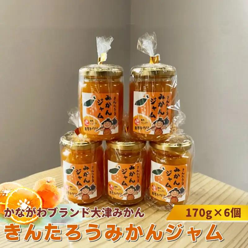 かながわブランド大津みかん　きんたろうみかんジャム　170g×6個【 ジャム みかん 神奈川県 山北町 】