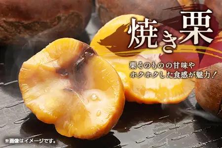 ＜2026出荷!!＞国産 新鮮朝どれ（生栗）3kg お取り寄せ 産地直送 宝珠栗 数量限定 宮崎県新富町産【B670-26】