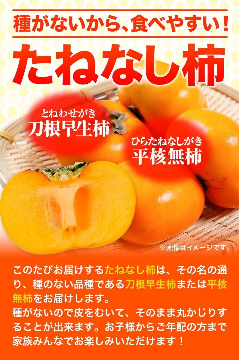 柿 訳あり たねなし柿 約4kg 
