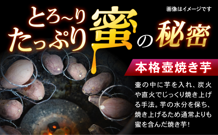 蜜だらけ！蜜しかない！ねっとり冷凍壺焼き芋(合計約2kg) / 焼き芋 焼芋 イモ いも やきいも サツマイモ さつまいも 蜜芋 冷凍 / 諫早市 / 松尾農園 [AHAY032]