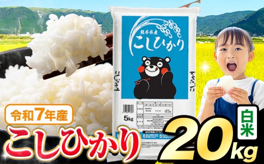 令和7年産  白米 こしひかり 20kg 5kg×4袋 《7-14日以内に出荷予定(土日祝を除く)》熊本県産 ふるさと納税 無洗米 白米 精米 米 こめ ふるさとのうぜい コシヒカリ コメ お米 おこめ