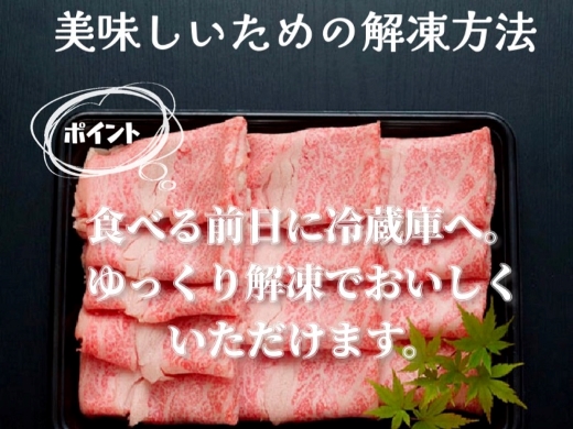 【限定・プレミアムシリーズ】厳選宮崎牛メス指定　Ａ５等級リブロースすき焼き　500ｇ（ふるさと納税 国産 牛肉 黒毛和牛 宮崎牛 希少部位 ロース すき焼き 冷凍 産地直送 送料無料）