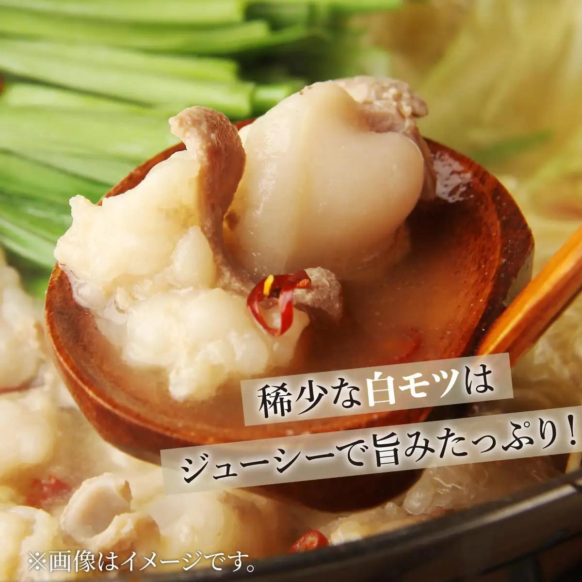  厳選国産牛使用！博多もつ鍋 味噌味 2～3人前【博多の味本舗】