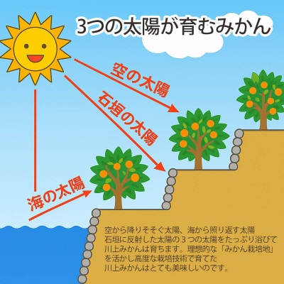 ＜期間限定!寄付額改定＞【天皇杯受賞産地】川上みかん 約5kg【訳あり】【C25-247】【1654045】