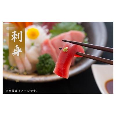 ふるさと納税 瀬戸内町 奄美大島産養殖クロマグロまるごと満喫セット(柵5P他) |  | 01
