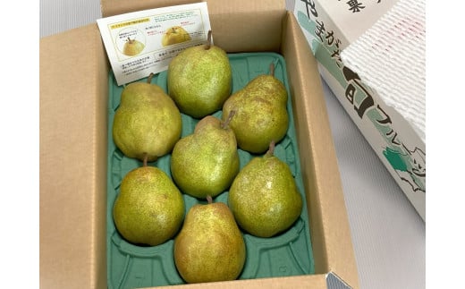 西洋梨（ラ・フランス）３ｋｇ　大玉　ご家庭用　0009-2511