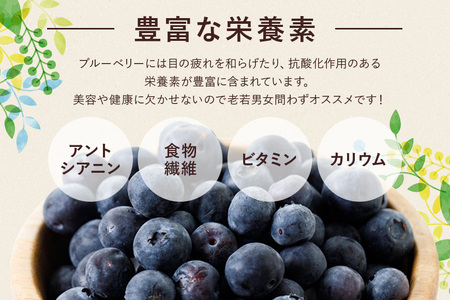 【 2026年 先行予約 】元気に育った ブルーベリー 1kg 冷凍 ( 500g 4パック ) 農薬 栽培期間中 不使用 果物 フルーツ 1キロ 手摘み 急速冷凍 国産 産地直送 農家直送 産直 夏
