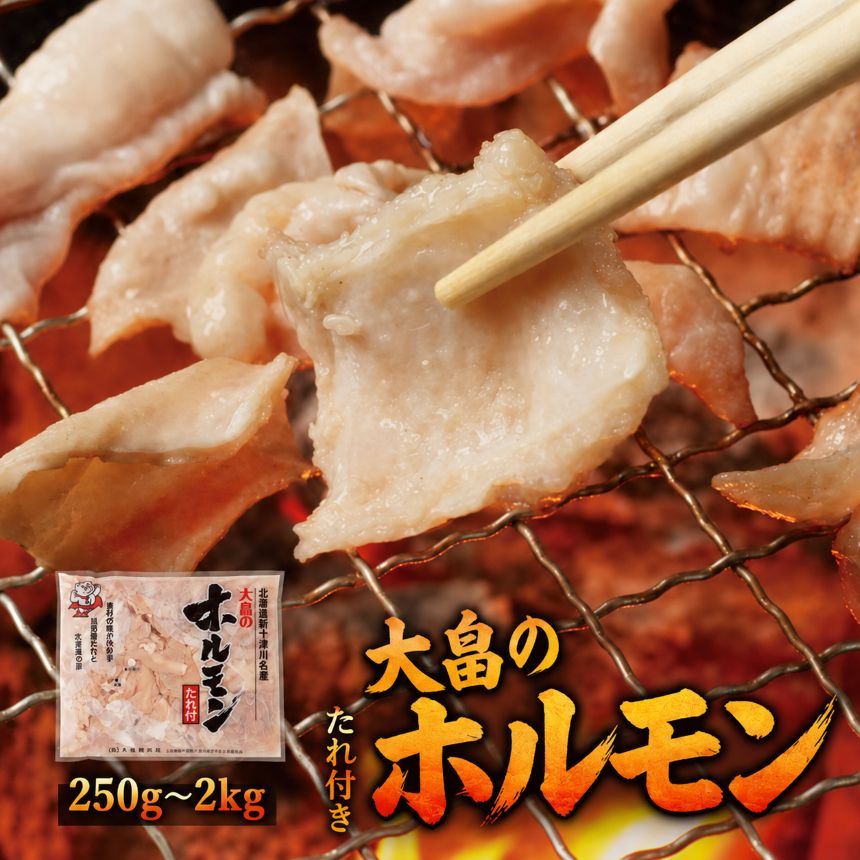 【ふるさと納税】大畠のホルモン 選べる容量 250g 〜 2kg 北海道産 豚ホルモン しろ テッチャン 味噌味 豚大腸 豚小腸 豚胃袋 味付き ホルモン焼き 焼肉 BBQ 豚肉 お肉 精肉 おつまみ 冷凍 小分け【北海道新十津川町】