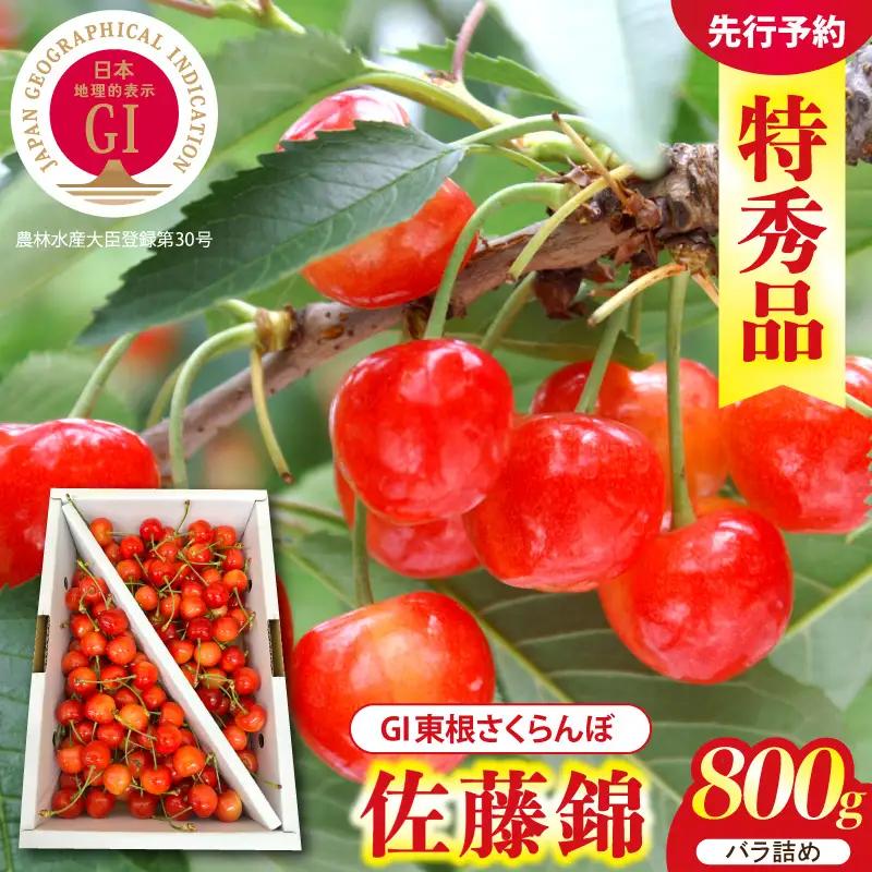 2027年産 GI東根 さくらんぼ 佐藤錦 800g さくらんぼ