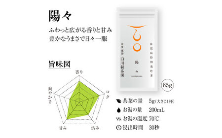 白川稔の技ありセット｢撰（せん）｣ 計3袋 / お茶 / 白川製茶園 [41AIAB006]