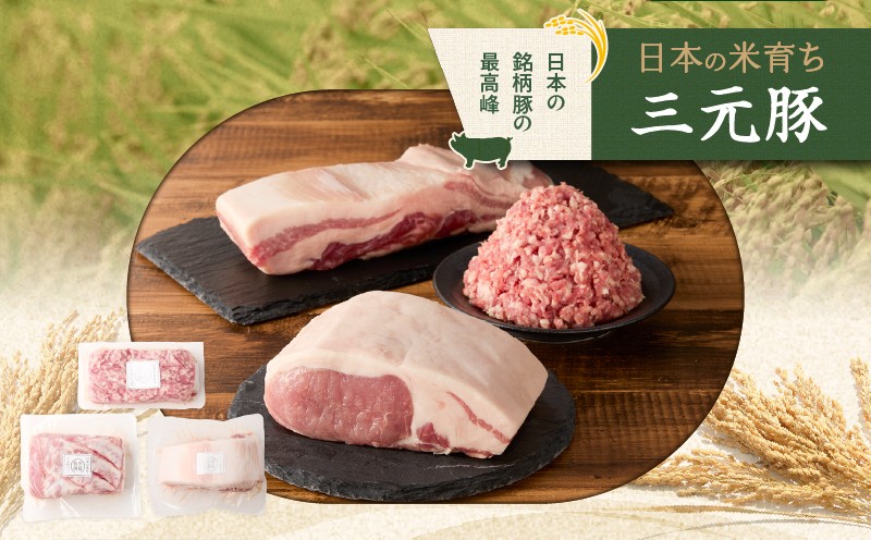 【全12回 毎月定期便】日本の米育ち平田牧場三元豚バラブロック 600g・豚ロースブロック 600g・豚挽肉 300g　T036-T14-03