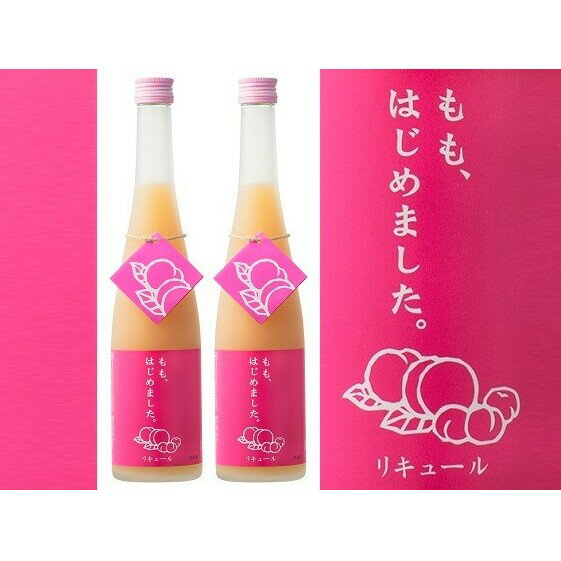 【ふるさと納税】もも梅酒　500ml×2本　＜篠崎＞ お酒 洋酒 リキュール類