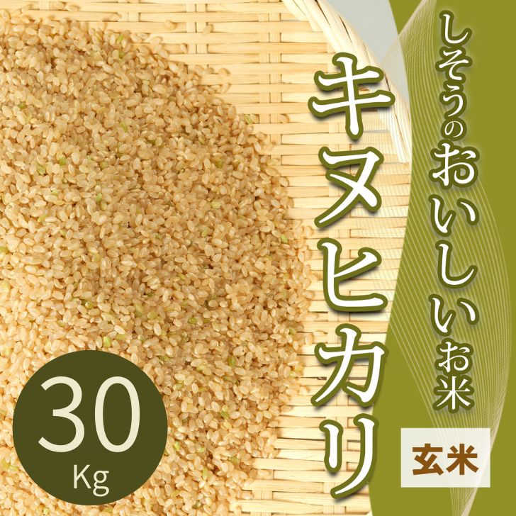 【ふるさと納税】キヌヒカリ 玄米 30Kg【令和7年産】 しそうのおいしい お米 米 コメ I4