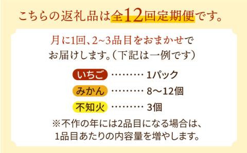 【12回 定期便】季節の果物 詰め合わせ フルーツセット 旬の果物をお任せで2〜3品目お届け （2〜3品目×12回） / 果物 セット 南島原市 / 吉岡青果 [SCZ014]