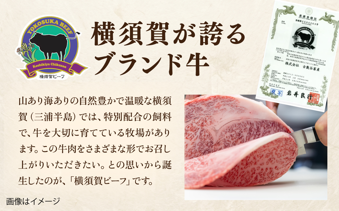 【数量限定20セット】横須賀ビーフ 焼き肉用 約450g 【ヨコスカマルシェ・koshikiya（株）】 [AKGO009]