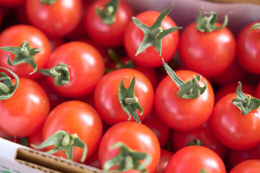 【定期便全6回 1月～6月毎月お届け】 フルーツミニトマト 『 くれまるこ 』 1.2kg フルーツトマト ふるーつとまと とまと トマト 甘い 濃厚 美味しい 箱詰め 高知 久礼 宇井農園 6回コー