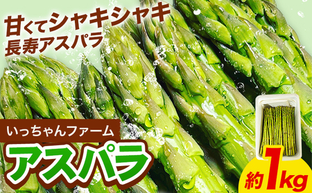 【先行予約】いっちゃんファームの アスパラ 1kg 熊本 | アスパラ