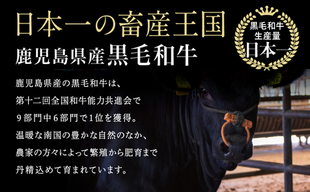 【鹿児島県産】黒毛和牛 赤身ももスライス 600g アッサリ すき焼きに！  ヘルシー お肉 冷凍 ギフト 贈答 スターゼン