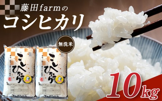 【先行予約受付】≪10月上旬発送≫令和８年産 大田原市 藤田farmのコシヒカリ 【無洗米】 10kg ｜栃木県産 米 お米  コメ こしひかり コシヒカリ 栃木県 【選べる容量】5kg 10kg  数量限定