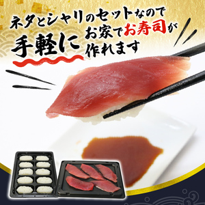 寿司 マグロ ミナミまぐろ 握り 20 貫 セット 中トロ 赤身 南鮪 南まぐろ ミナミマグロ すし 加納商店 静岡県 藤枝市