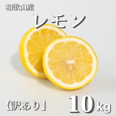 和歌山産　レモン　家庭用　10kg　サイズS～4Lの混合　【訳あり】【配送不可地域：北海道・沖縄】【1482542】