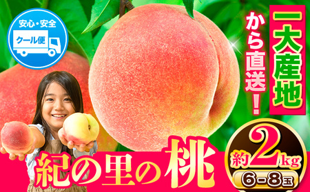 桃 もも 和歌山県産 紀の里の桃 約2kg 送料無料 6～8玉入り《2024年6月中旬-8月中旬頃出荷》