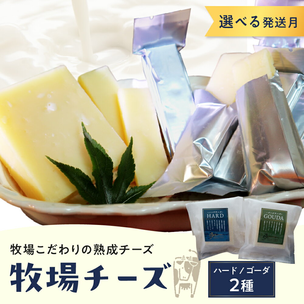 【ふるさと納税】【選べる配送月】 牧場 チーズ 2種類 セット / ハードチーズ ゴーダチーズ 熟成チーズ HARD GOUDA ブロック スティック お取り寄せ ご当地 送料無料 北海道 十勝 芽室町