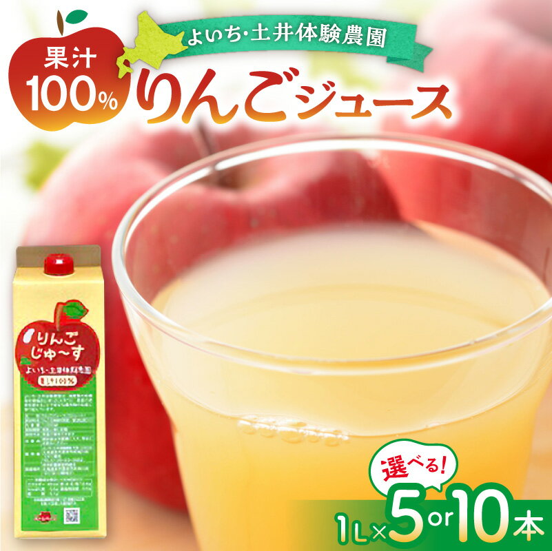 【ふるさと納税】北海道余市町産 太陽の恵み 果汁100% りんごジュース 1L 5本 10本 有機栽培 ストレート果汁 ジュース 朝食 贈り物 ギフト おやつ 子供 プレゼント 健康 自然 太陽 甘い ジューシー 風味 ティータイム セット お取り寄せ