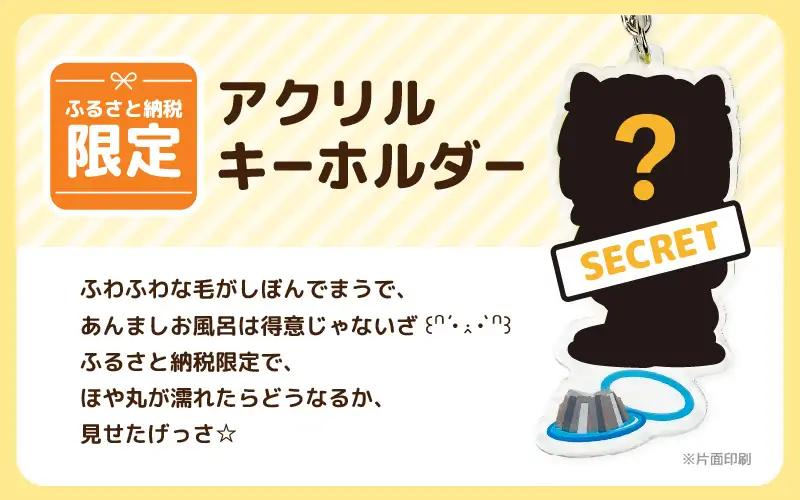 坂井市公式キャラクター「坂井ほや丸」おやすみほやぬい (ボールチェーンぬいぐるみ12cm) ＆ 限定アクリルキーホルダー [A-20606]