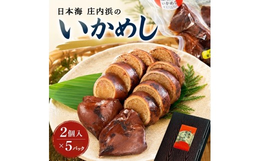 日本海　庄内浜のいかめし SA3048