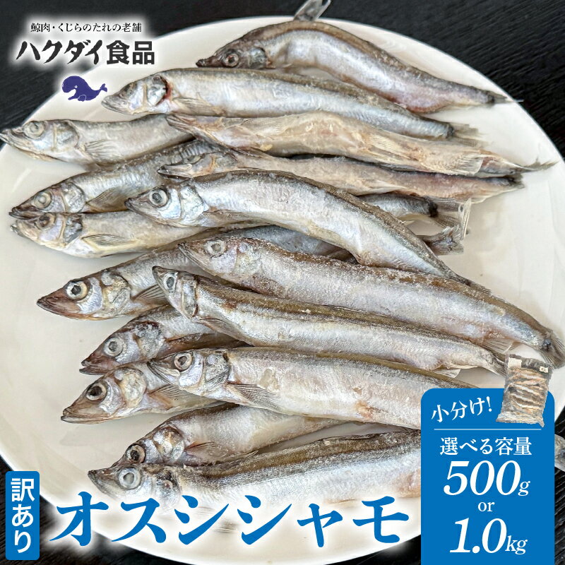 【ふるさと納税】【容量が選べる】【訳あり】オスシシャモ 千葉県 南房総市 カラフトシシャモ 魚 焼き魚 小分け 冷凍 栄養豊富 カルシウム おかず おつまみ 天ぷら フライ 南蛮漬け お取り寄せ 送料無料