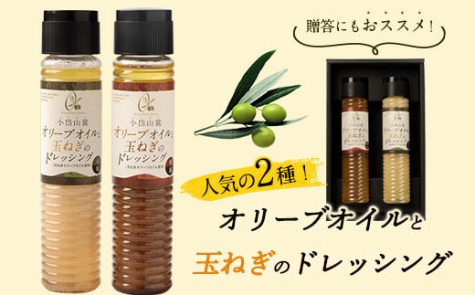 荒尾市産オリーブオイル使用の玉ねぎドレッシング 2本セット 《30日以内に出荷予定(土日祝除く)》荒尾オリーブファーム合同会社