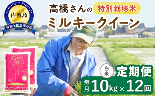 【令和8年産新米 12ヶ月】佐渡島産ミルキークイーン 白米 10kg 特別栽培米